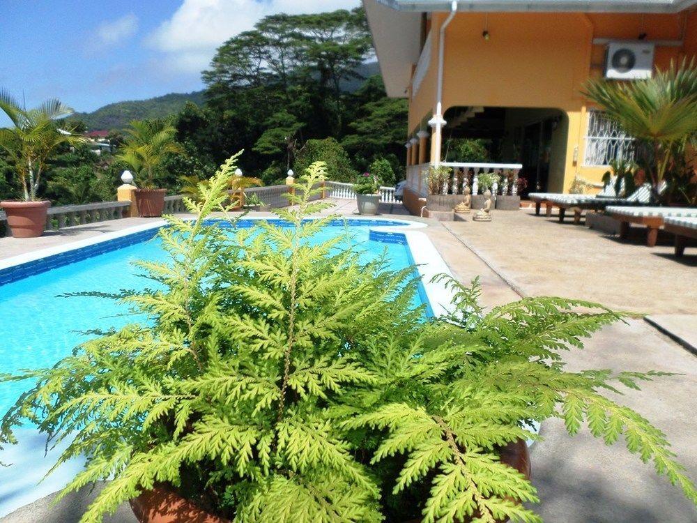 Albizia Lodge Green Estate Pointe Au Sel Exteriör bild